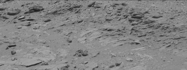 Sol 319: Mast Camera (Mastcam)