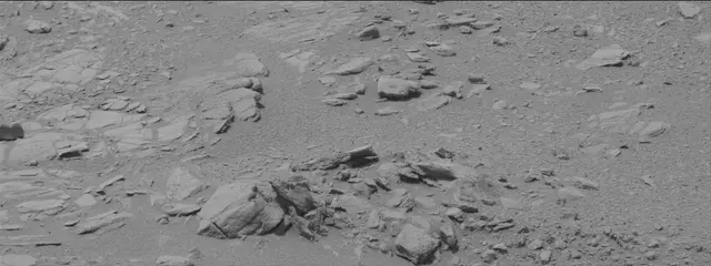 Sol 319: Mast Camera (Mastcam)