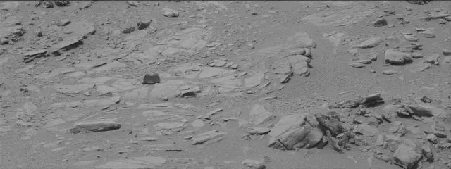 Sol 319: Mast Camera (Mastcam)