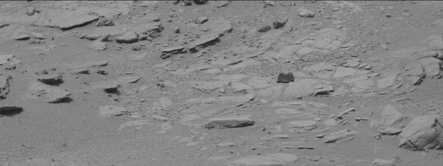 Sol 319: Mast Camera (Mastcam)