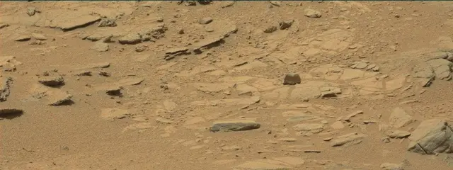 Sol 319: Mast Camera (Mastcam)