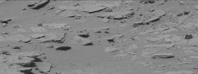 Sol 319: Mast Camera (Mastcam)