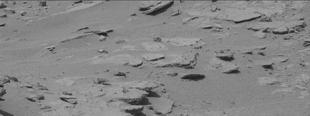 Sol 319: Mast Camera (Mastcam)