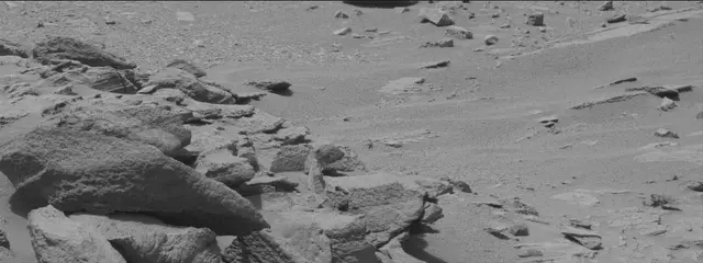 Sol 319: Mast Camera (Mastcam)