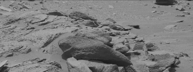 Sol 319: Mast Camera (Mastcam)
