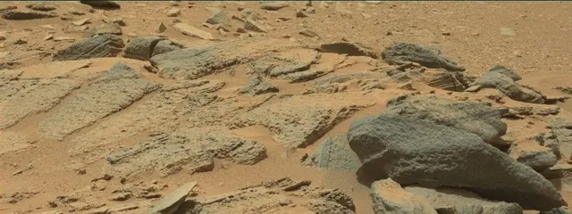 Sol 319: Mast Camera (Mastcam)