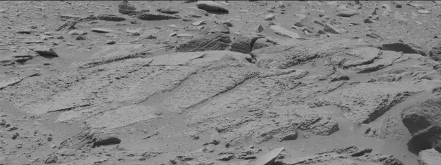 Sol 319: Mast Camera (Mastcam)