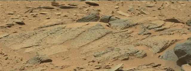 Sol 319: Mast Camera (Mastcam)