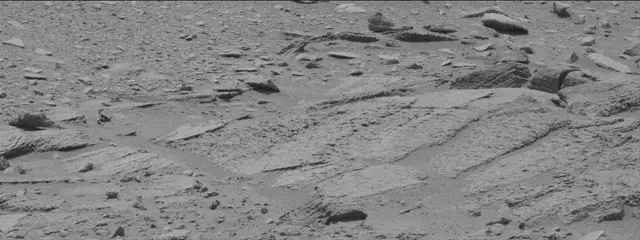 Sol 319: Mast Camera (Mastcam)