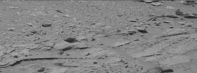 Sol 319: Mast Camera (Mastcam)