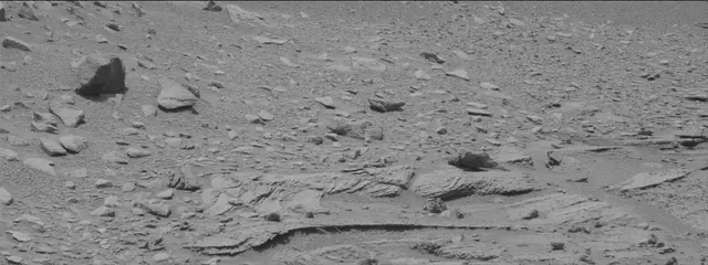 Sol 319: Mast Camera (Mastcam)