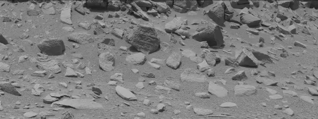 Sol 319: Mast Camera (Mastcam)