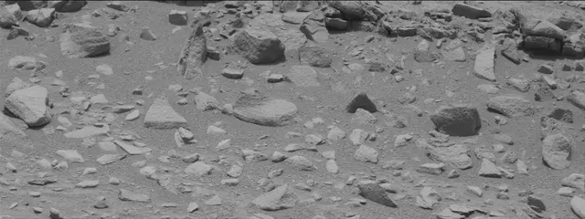 Sol 319: Mast Camera (Mastcam)