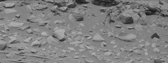 Sol 319: Mast Camera (Mastcam)