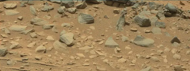 Sol 319: Mast Camera (Mastcam)