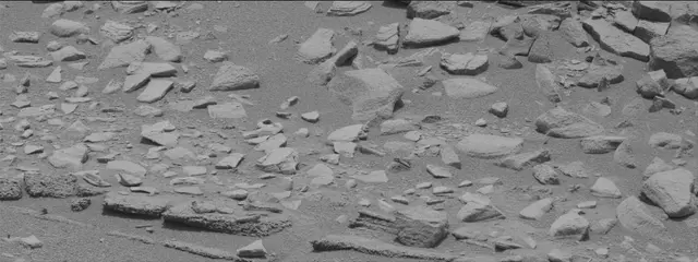 Sol 319: Mast Camera (Mastcam)