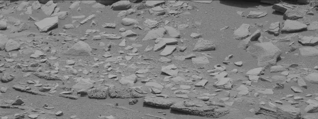 Sol 319: Mast Camera (Mastcam)
