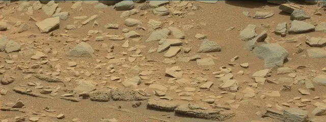 Sol 319: Mast Camera (Mastcam)