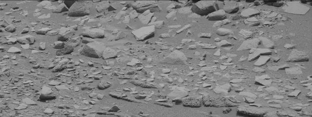 Sol 319: Mast Camera (Mastcam)
