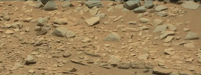 Sol 319: Mast Camera (Mastcam)