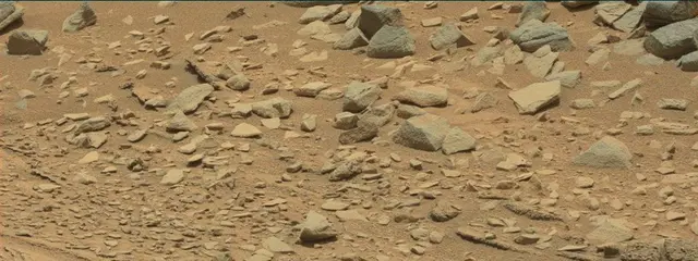 Sol 319: Mast Camera (Mastcam)