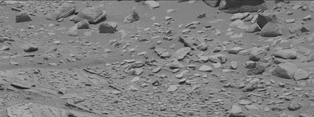 Sol 319: Mast Camera (Mastcam)