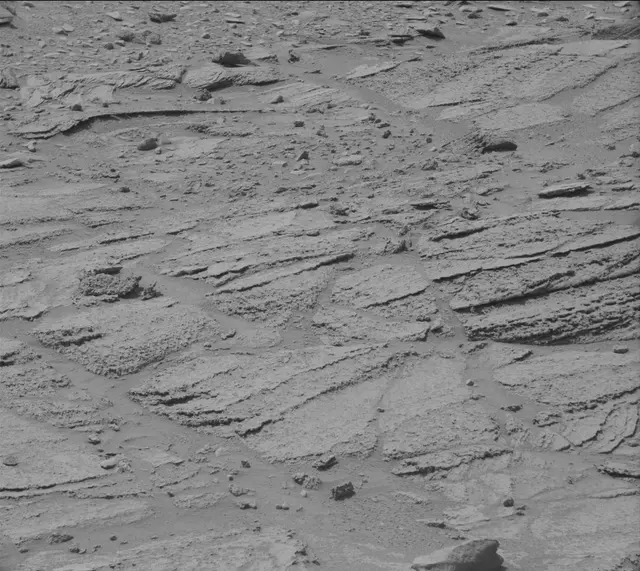 Sol 319: Mast Camera (Mastcam)