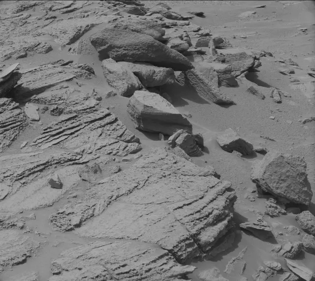 Sol 319: Mast Camera (Mastcam)