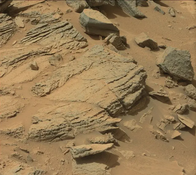 Sol 319: Mast Camera (Mastcam)