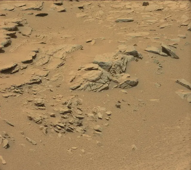 Sol 319: Mast Camera (Mastcam)