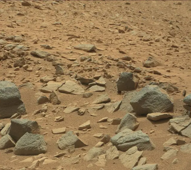Sol 319: Mast Camera (Mastcam)
