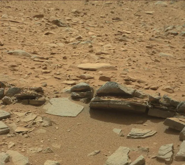 Sol 319: Mast Camera (Mastcam)