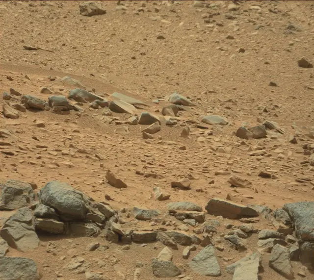 Sol 319: Mast Camera (Mastcam)