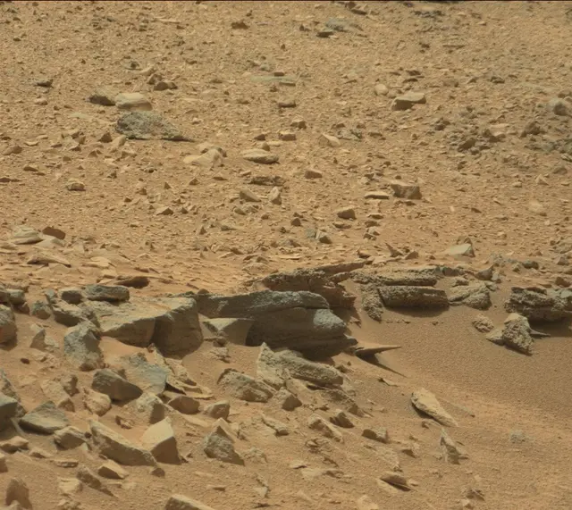 Sol 319: Mast Camera (Mastcam)