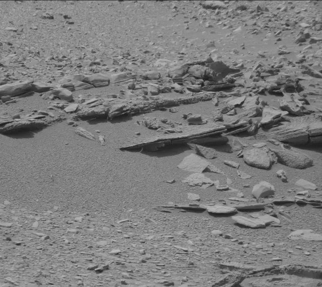 Sol 319: Mast Camera (Mastcam)