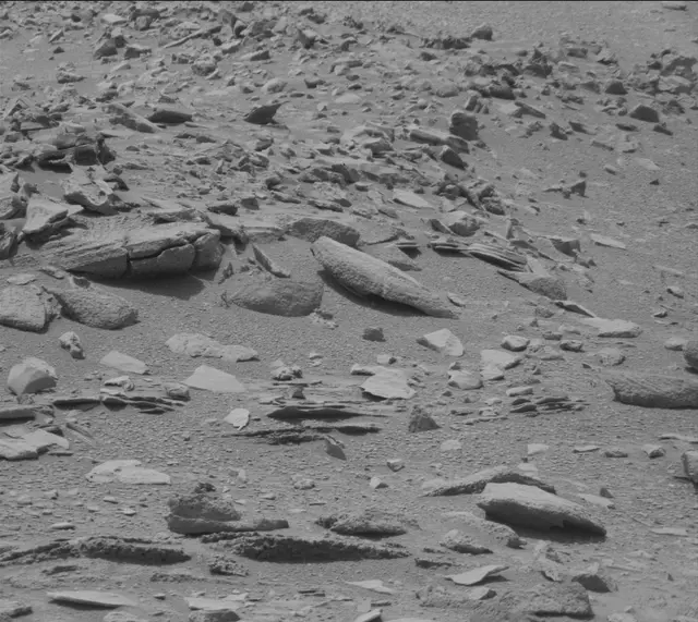 Sol 319: Mast Camera (Mastcam)