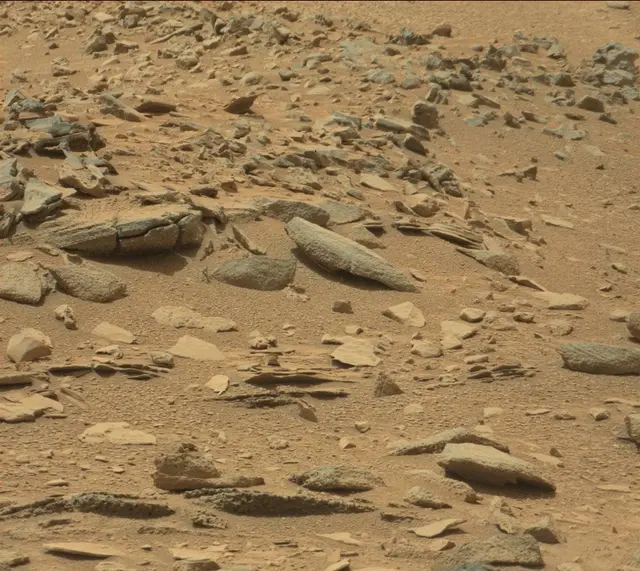 Sol 319: Mast Camera (Mastcam)