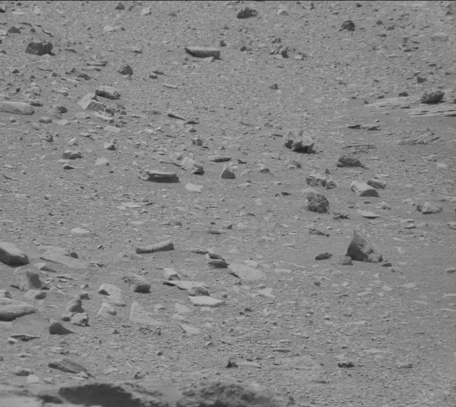 Sol 319: Mast Camera (Mastcam)