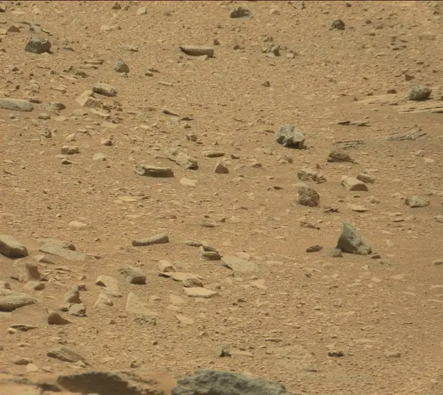 Sol 319: Mast Camera (Mastcam)