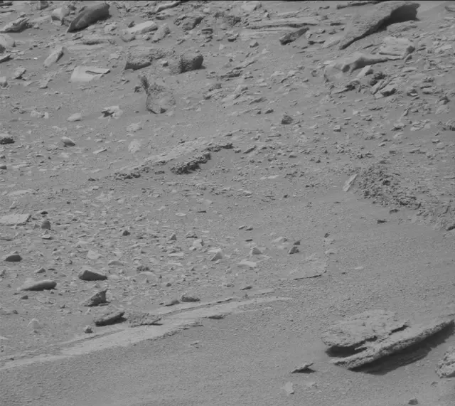 Sol 319: Mast Camera (Mastcam)