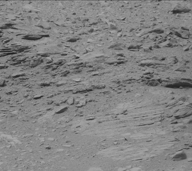 Sol 319: Mast Camera (Mastcam)