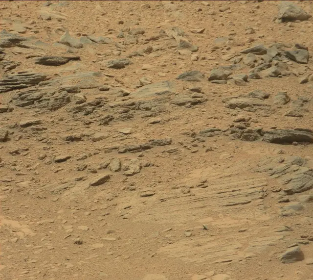 Sol 319: Mast Camera (Mastcam)
