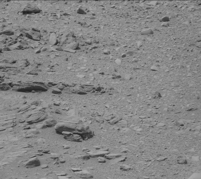 Sol 319: Mast Camera (Mastcam)