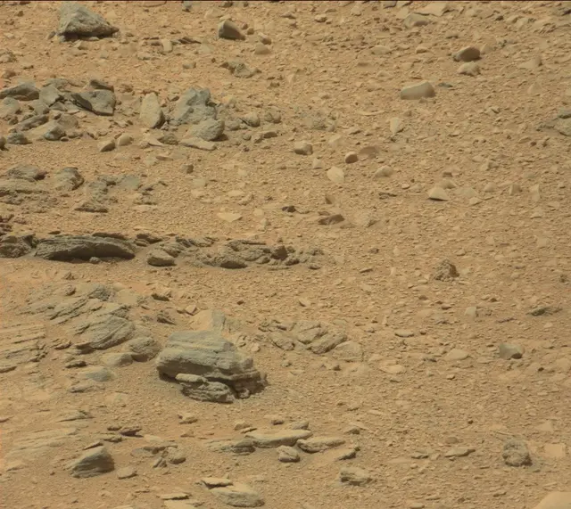 Sol 319: Mast Camera (Mastcam)