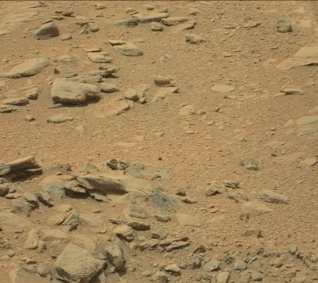 Sol 319: Mast Camera (Mastcam)
