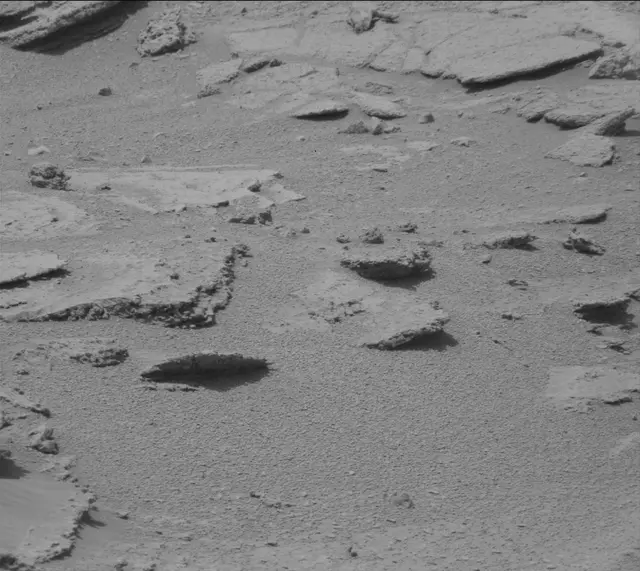 Sol 319: Mast Camera (Mastcam)