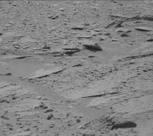 Sol 319: Mast Camera (Mastcam)