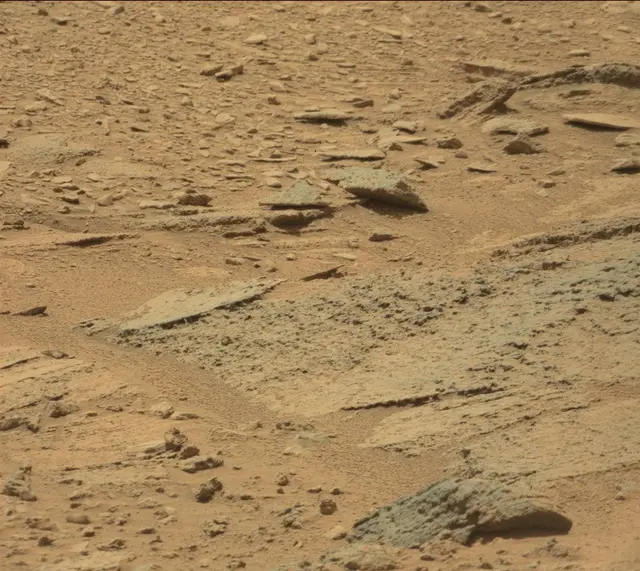 Sol 319: Mast Camera (Mastcam)