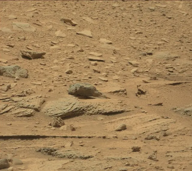 Sol 319: Mast Camera (Mastcam)