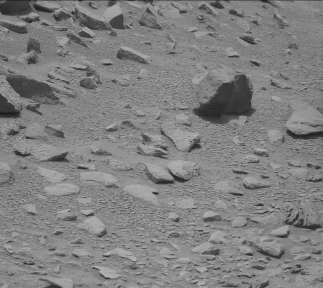 Sol 319: Mast Camera (Mastcam)